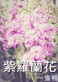 紫罗兰花束图片大全